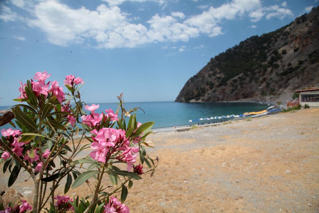 Paralia Guest House Агия Румели Екстериор снимка