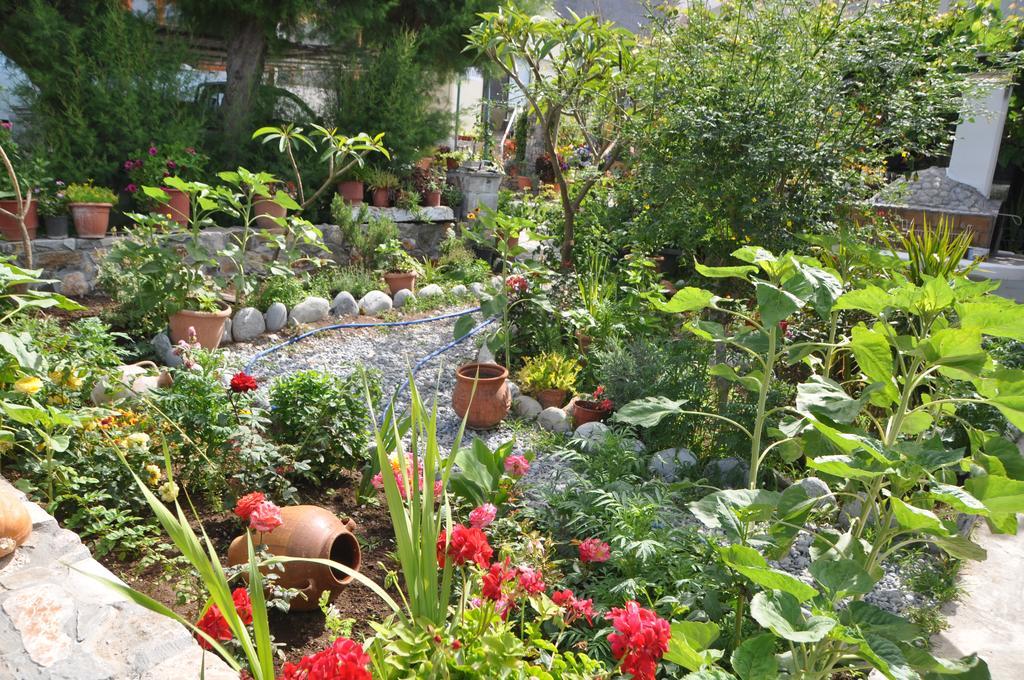 Paralia Guest House Агия Румели Екстериор снимка