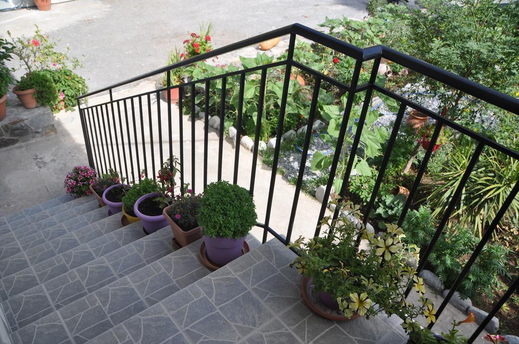 Paralia Guest House Агия Румели Екстериор снимка